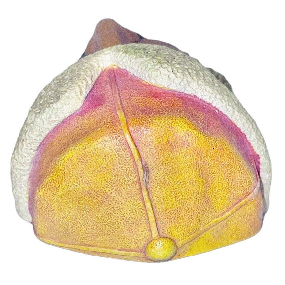 Bossons Himalayan Chalkware Head 1966 #44 Made In England Vintage - Picture 5 of 7